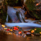 Tranquil waterfall scene with mossy rocks and autumn leaves