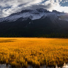 Golden field and stormy sky landscape with towering mountains