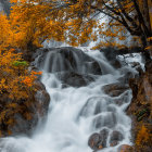 Autumn foliage waterfall scene with vibrant yellow and orange leaves