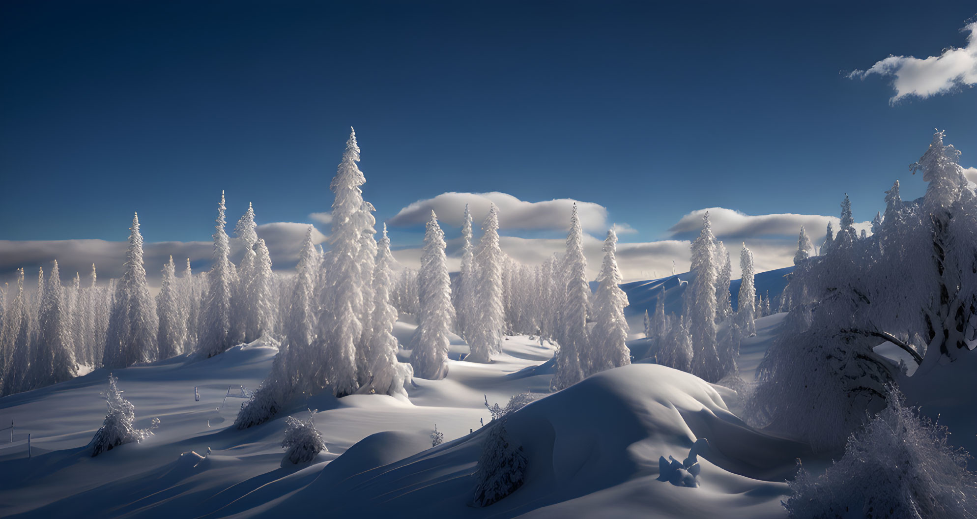 Tranquil winter landscape with snow-covered coniferous trees