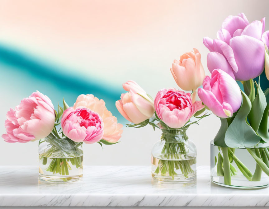 Vibrant tulip bouquets in glass vases on marble surface