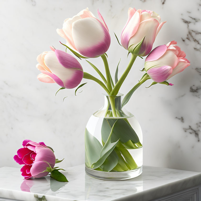 Pink and White Tulip Bouquet on Marble Surface