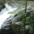 Tranquil river in misty tropical rainforest