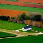 Colorful Agricultural Fields and Clustered Trees in Lush Landscape