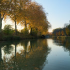 Vivid Autumn Landscape with Colorful Trees and River