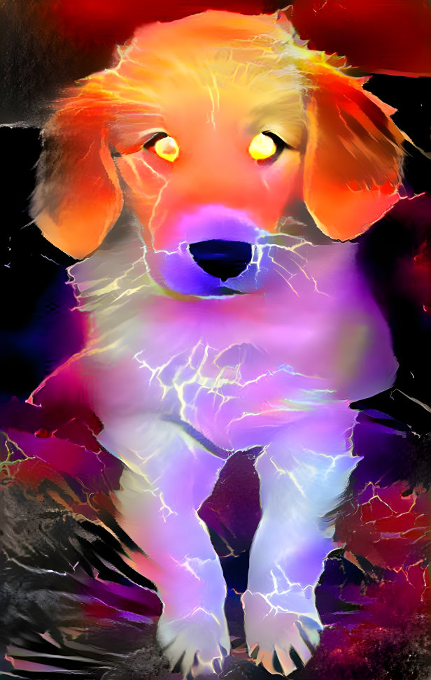 Flashy Doggo