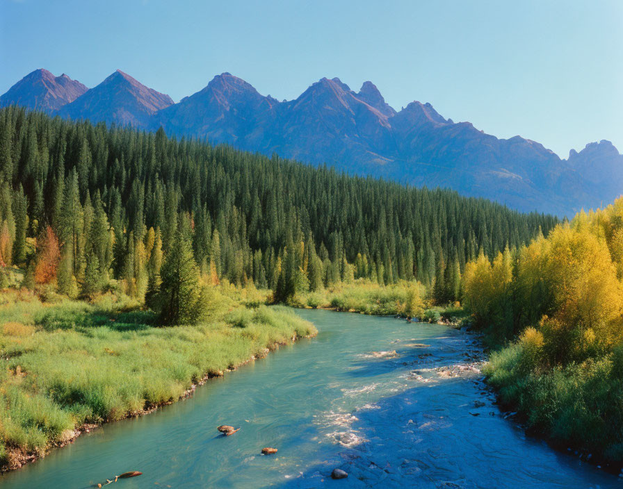 Scenic river flowing through lush valley with sharp mountains