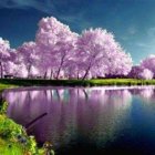 Tranquil fantasy landscape with cherry blossoms, gazebos, and calm lake