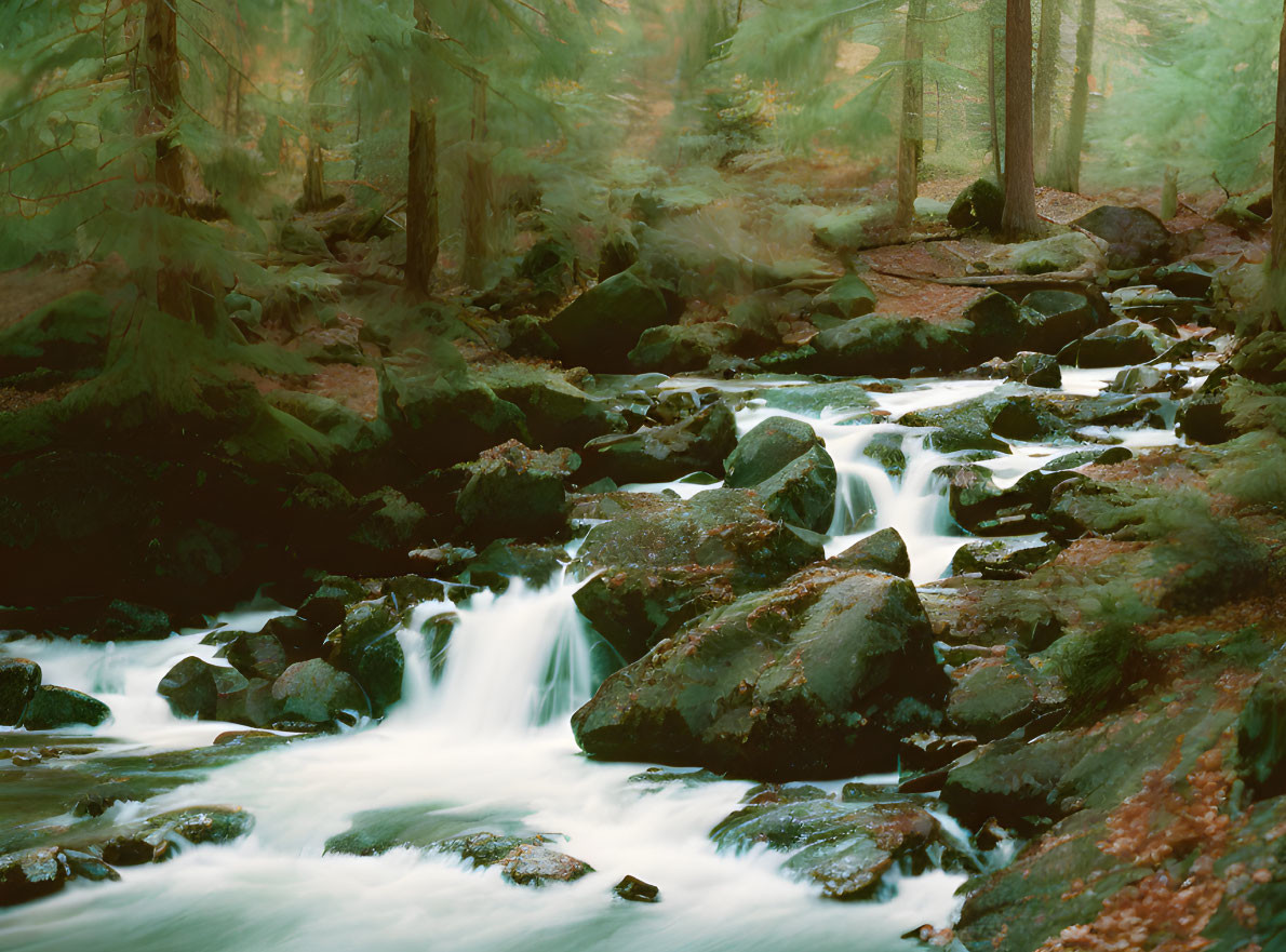 Tranquil forest scene with cascading stream and misty atmosphere