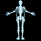 Detailed Digital X-Ray of Complete Human Skeleton on Black Background