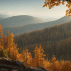 Golden sunlight on autumn forest and rolling hills