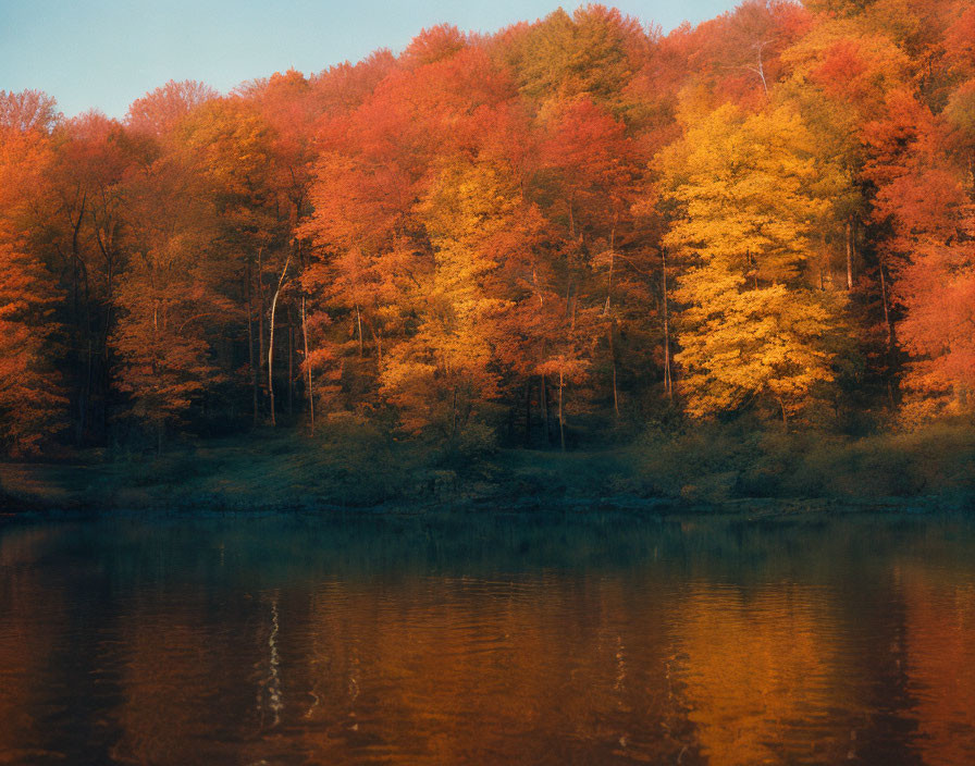 Vibrant autumn trees reflected in calm lake at dusk