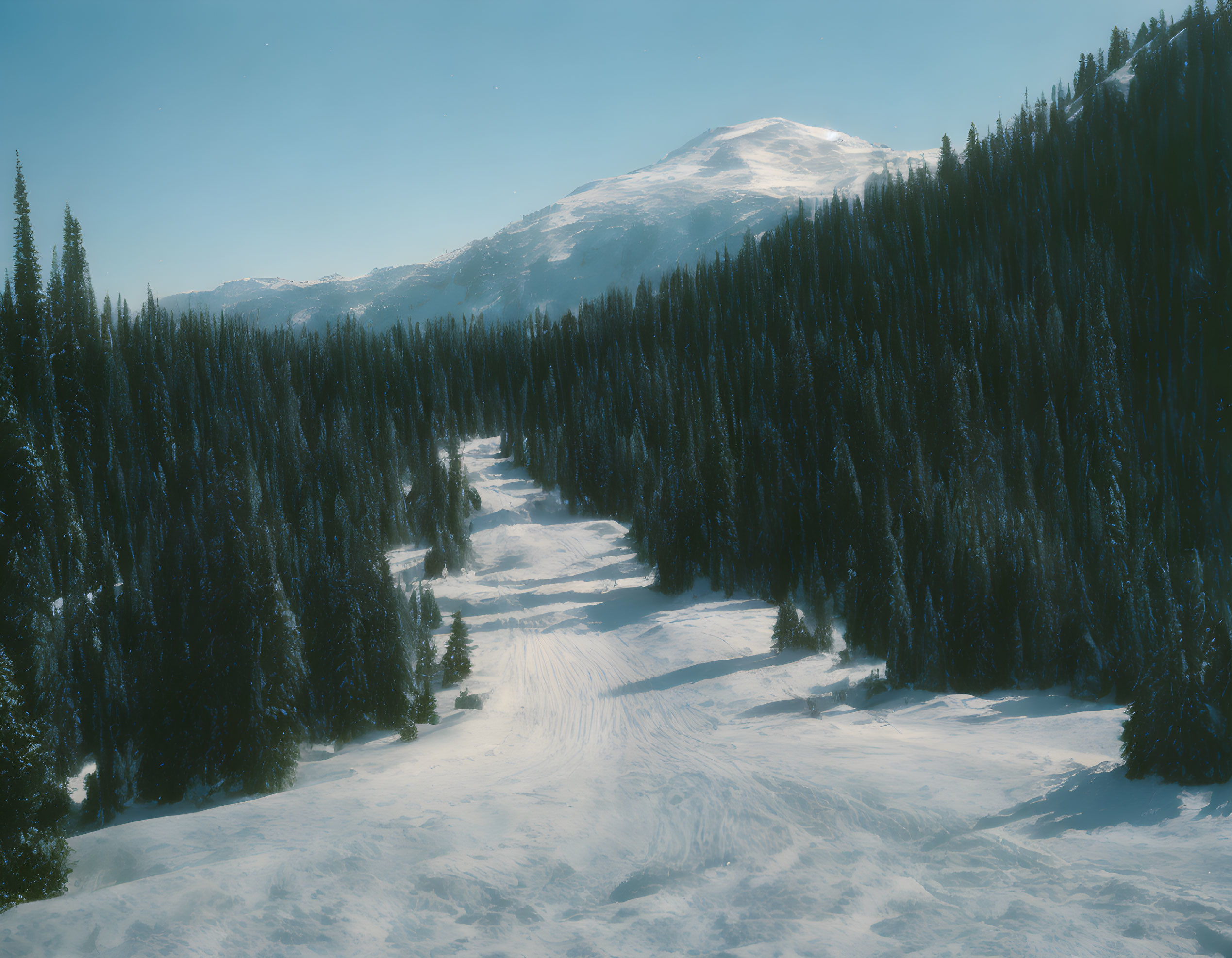 Snow-covered mountain backdrop with evergreen trees in tranquil winter scene