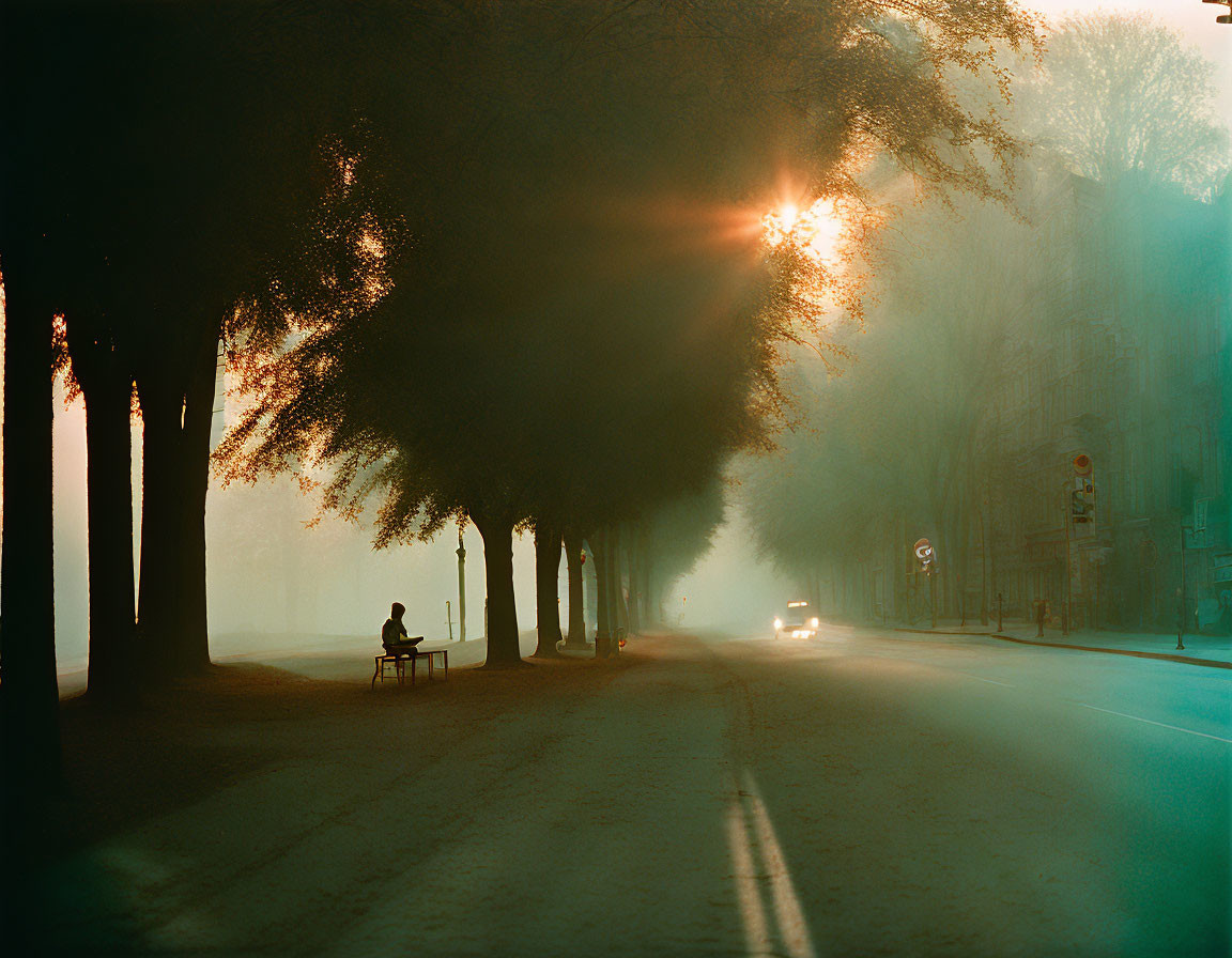 Person sitting on bench under trees by misty street at dusk with approaching car