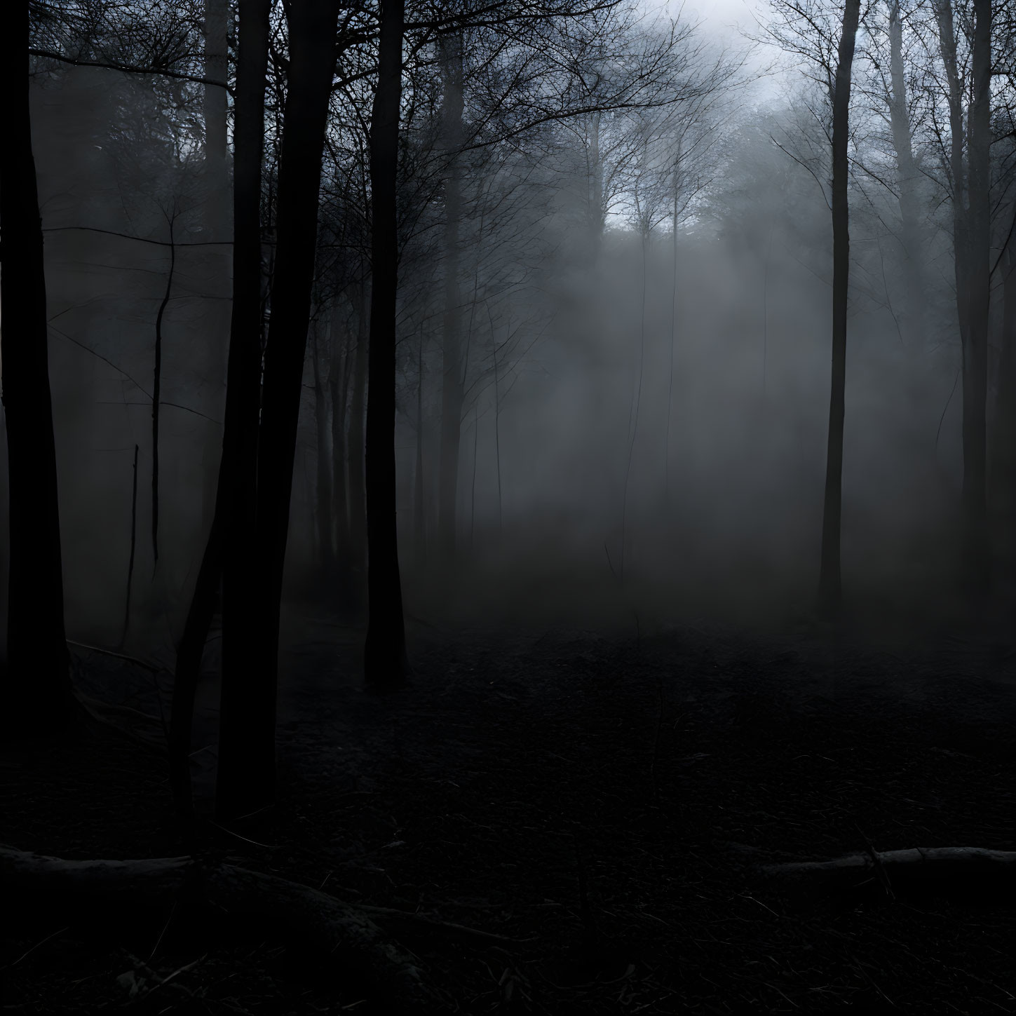 Twilight misty forest scene with silhouetted trees