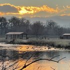 Tranquil lake at sunset with twin cottages, autumn trees, mountains, and cows.