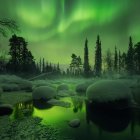 Enchanting forest scene with green aurora and luminescent patterns