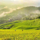 Tranquil village scene with thatched-roof houses and misty mountains