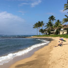 Tropical beach landscape with palm trees, ocean waves, sandy shore, and mountains