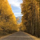 Surreal landscape with swirling sky, autumn trees, winding path, and small fence