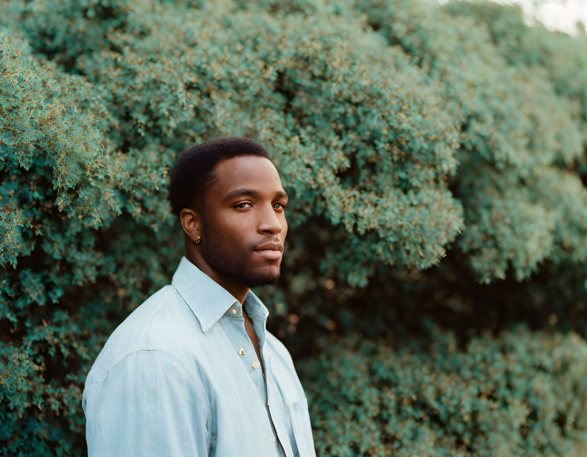 Man in Light Blue Shirt Standing by Lush Green Hedge