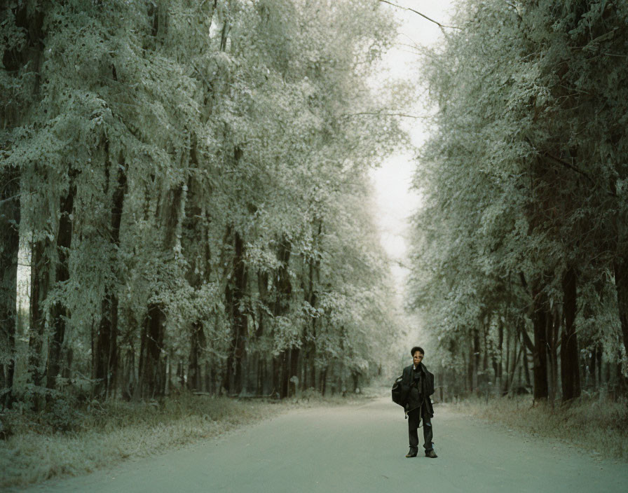 Person standing on frost-covered road surrounded by eerie trees