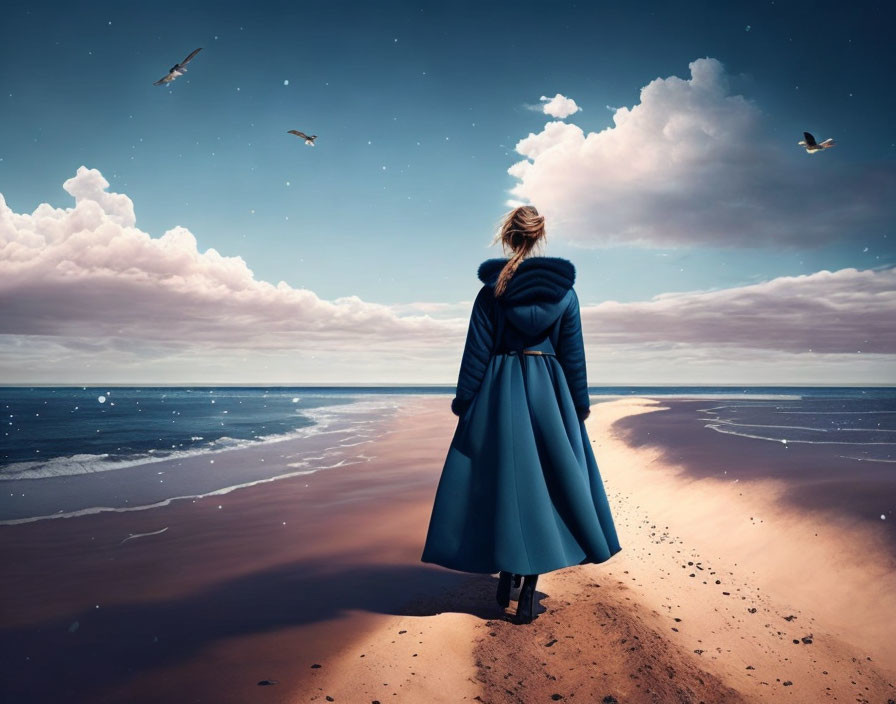 Person in Blue Coat on Sandy Beach Watching Ocean and Birds