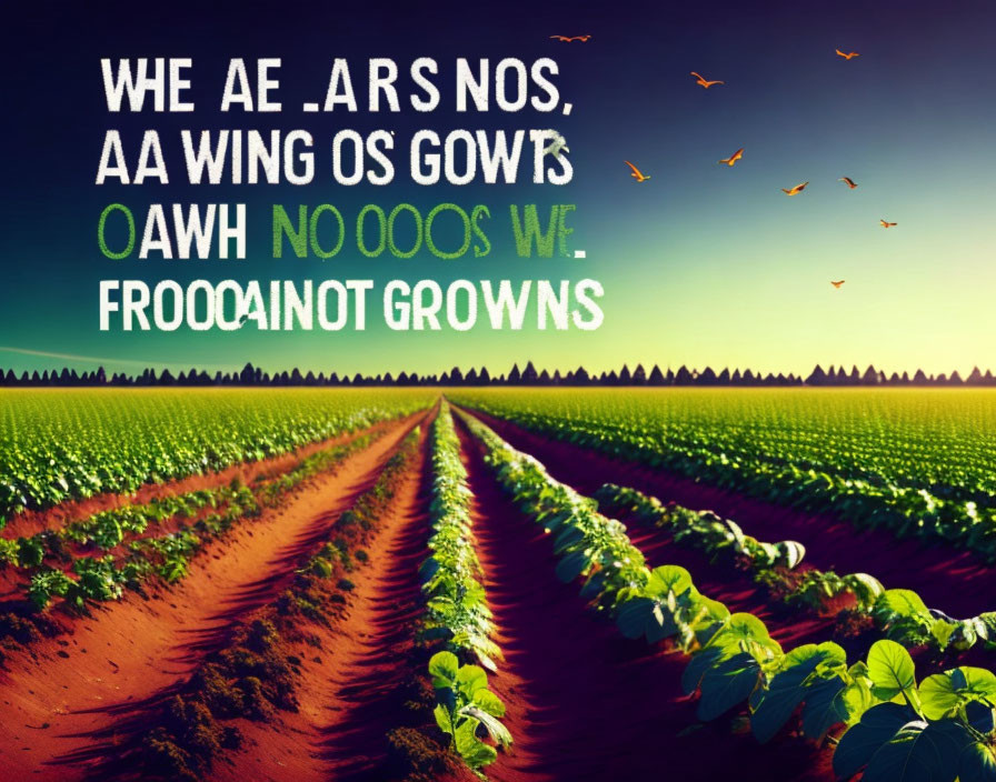 Vibrant green farm field at sunset with inspirational quote and missing letters.