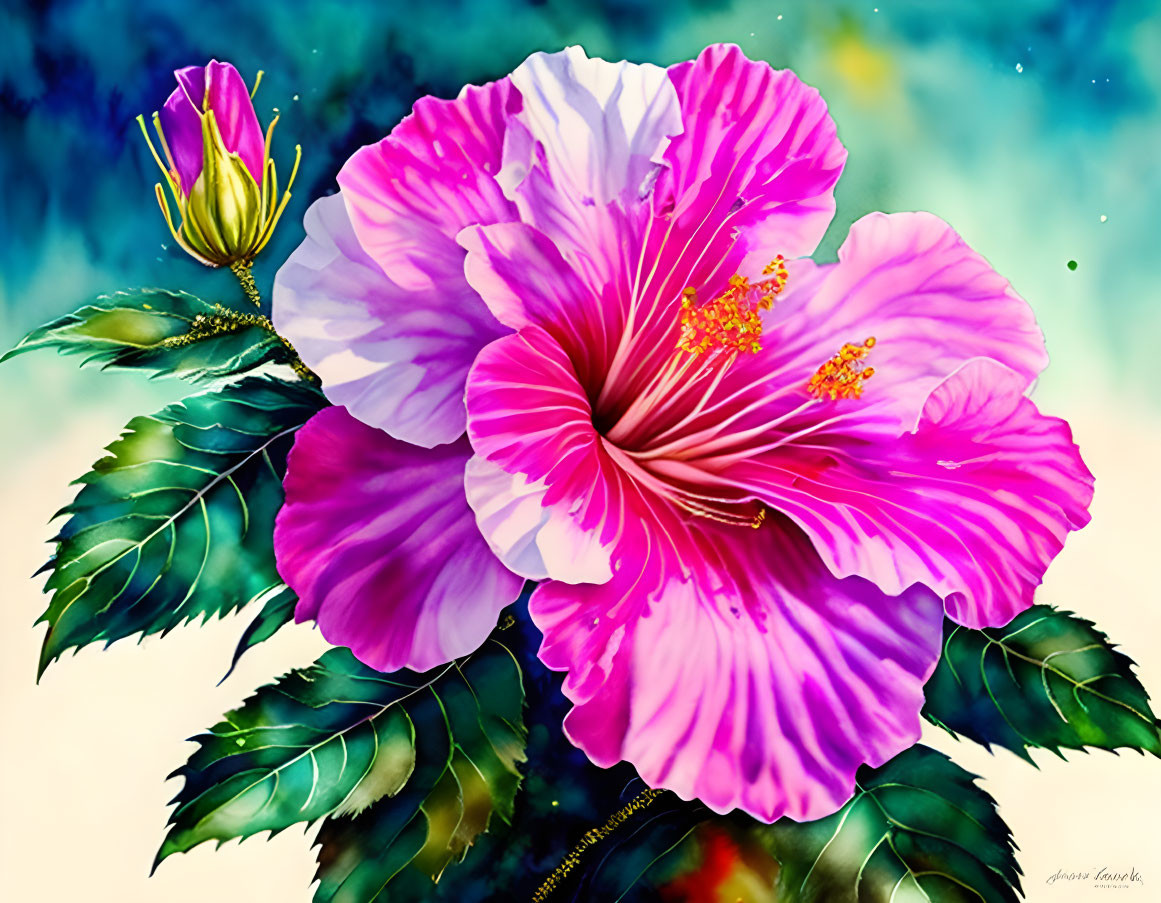 Vibrant pink hibiscus flower with yellow stamens on blue-green background.