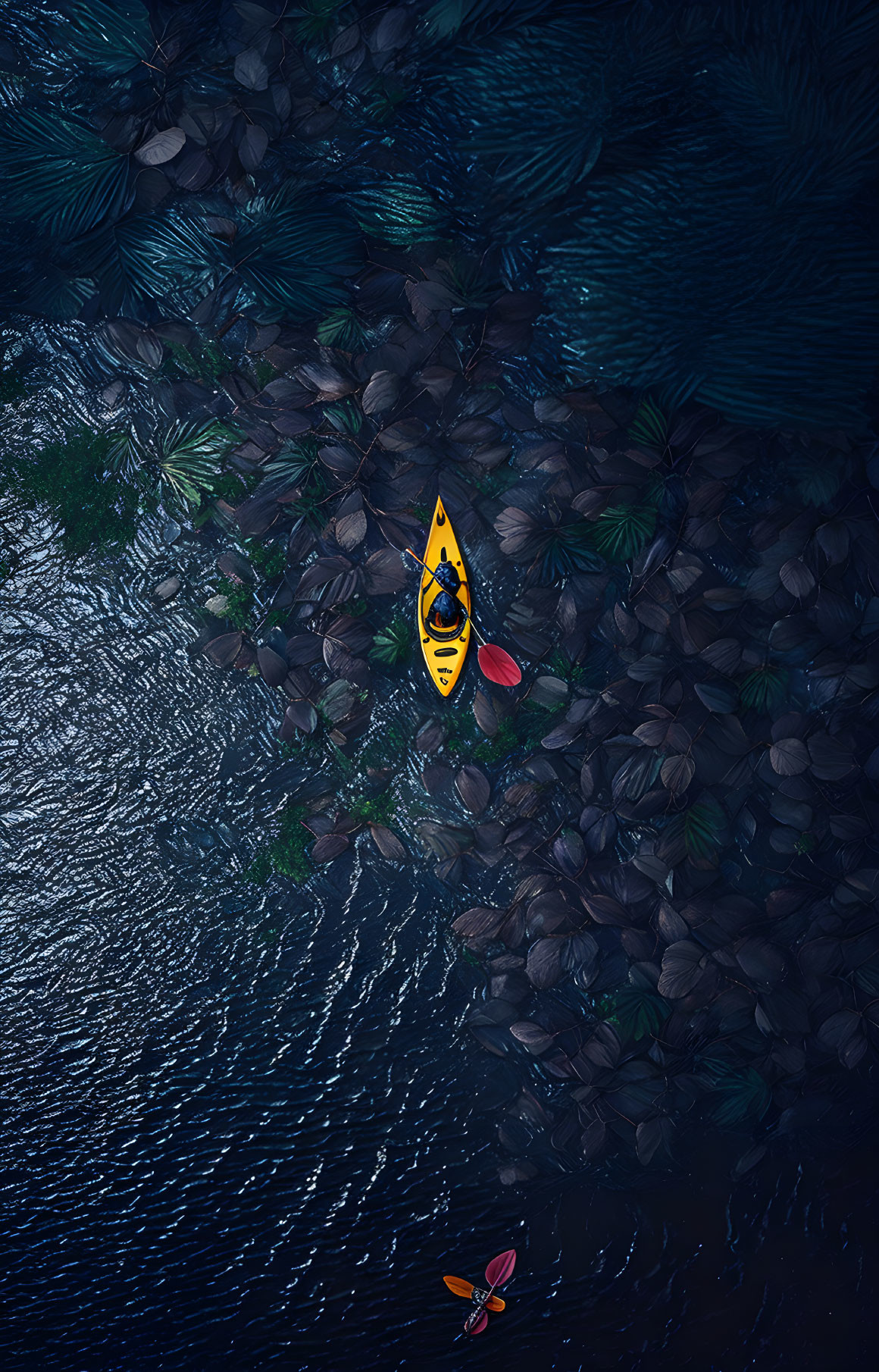 Yellow Kayak in Dark Waters with Green Leaves and Red Paddle