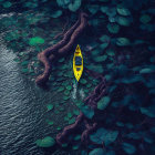 Yellow Canoe Floating in Serene Blue Waterway Amid Lush Green Foliage