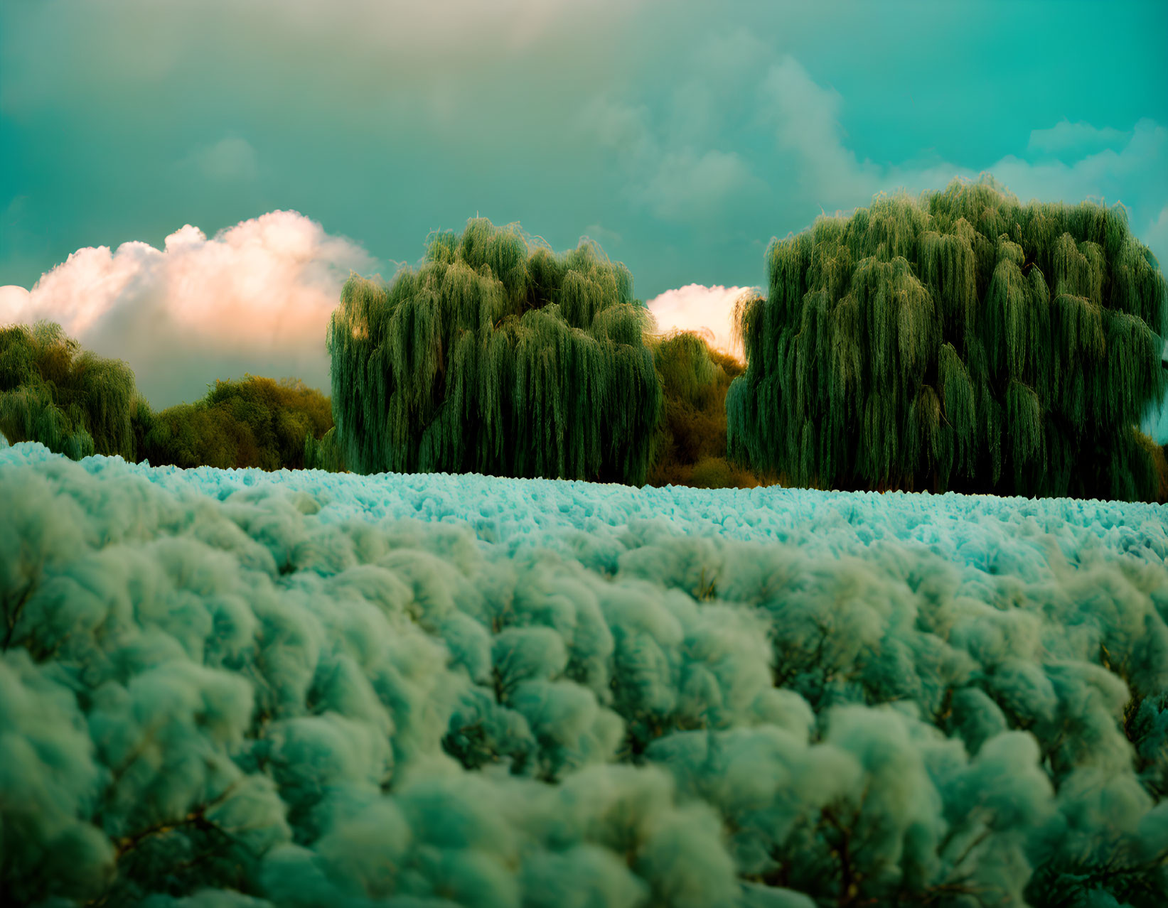 Teal-Colored Clouds Over Lush Willow-Like Trees