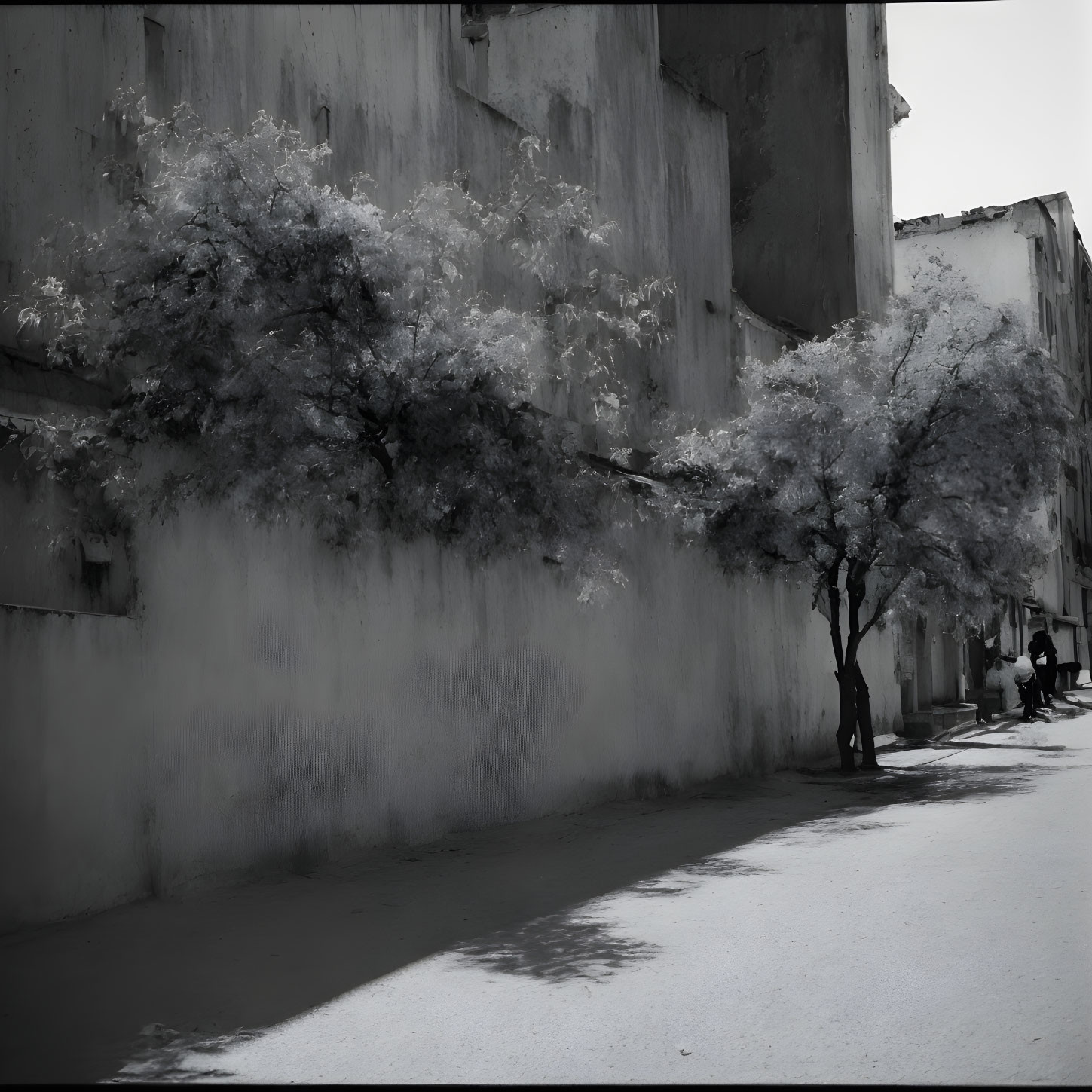 Monochrome photo of narrow alley with trees, people, and buildings