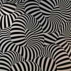 Abstract black and white striped optical illusion shapes.