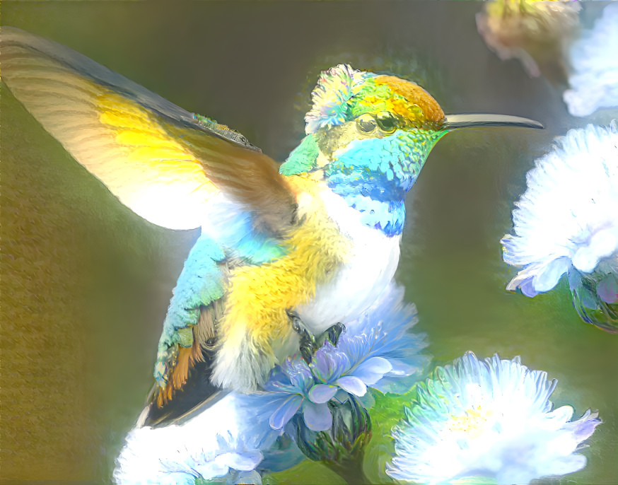 a bee hummingbird