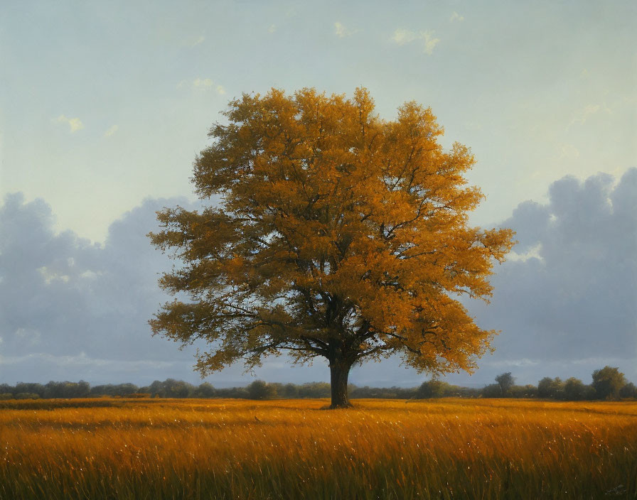 Golden-leaved tree in amber field under serene sky