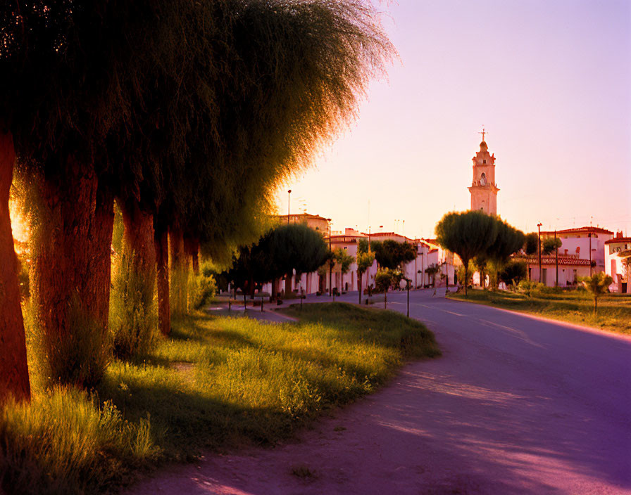 Tranquil Dusk Scene: Willow-lined Street with Bell Tower in the Distance