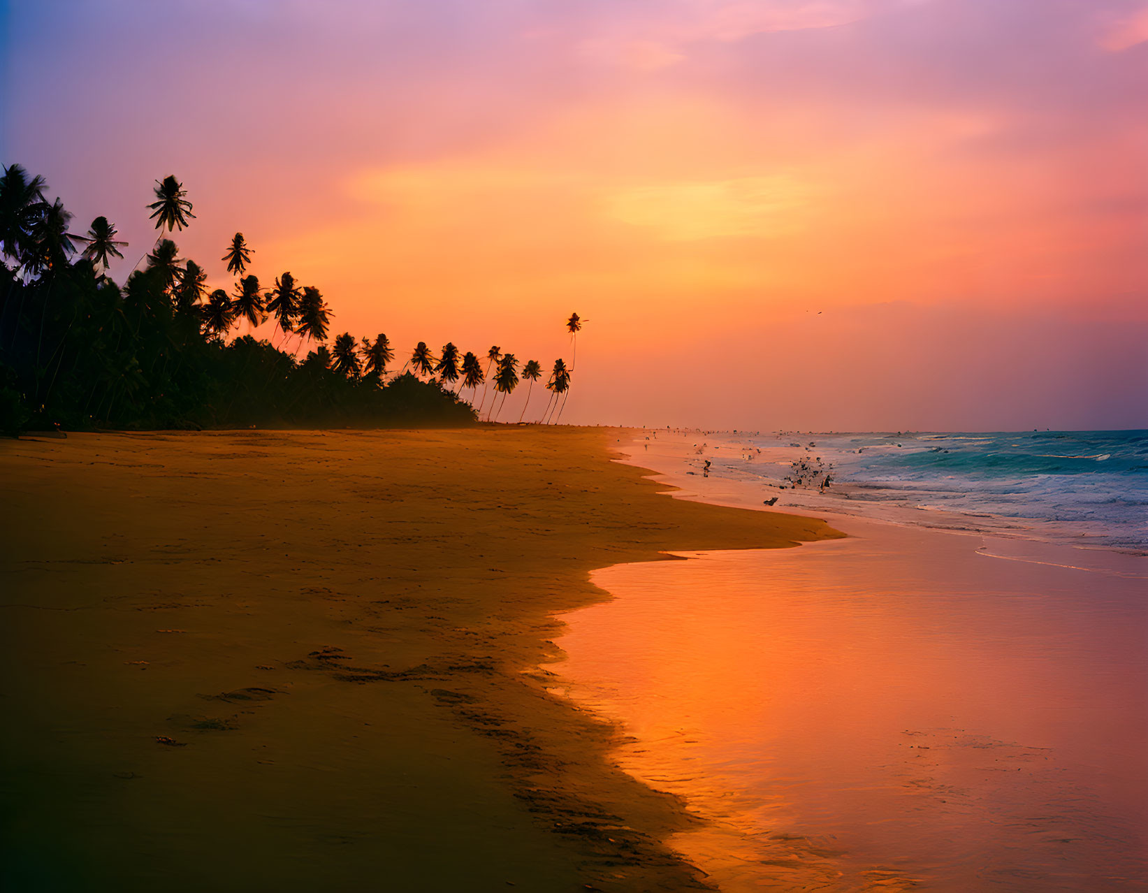 Scenic Tropical Beach Sunset with Palm Trees and Birds