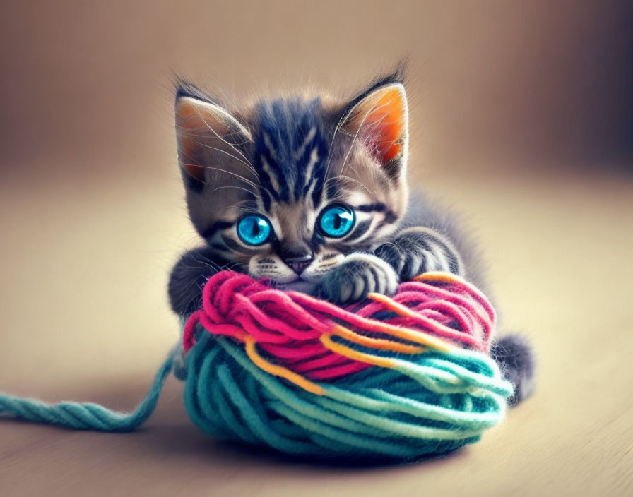 Adorable kitten with blue eyes playing with yarn on wooden surface