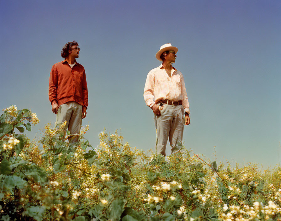 Two men in field of flowering plants under clear blue sky