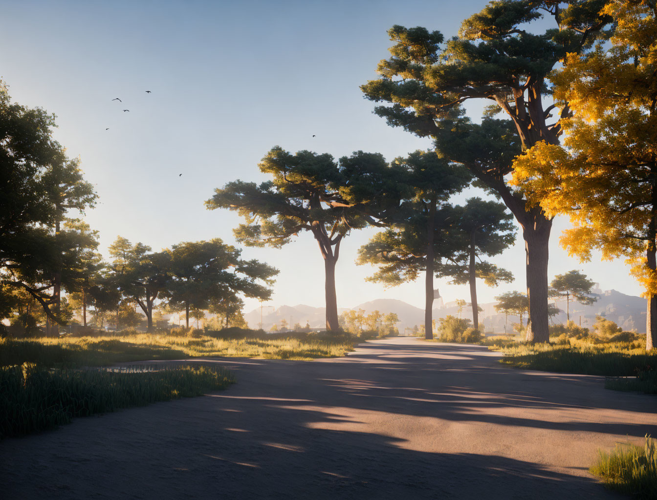 Tranquil Sunrise Scene: Tall Trees, Long Shadows, Birds Flying