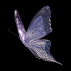 Colorful Butterfly with Translucent Blue and Purple Wings on Dark Background