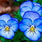 Colorful floral painting with blue flowers and vibrant foliage.