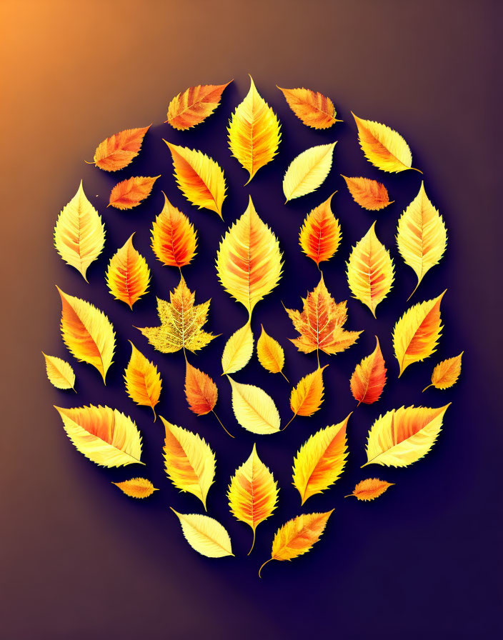 Vibrant Autumn Leaves Elliptical Arrangement on Gradient Background