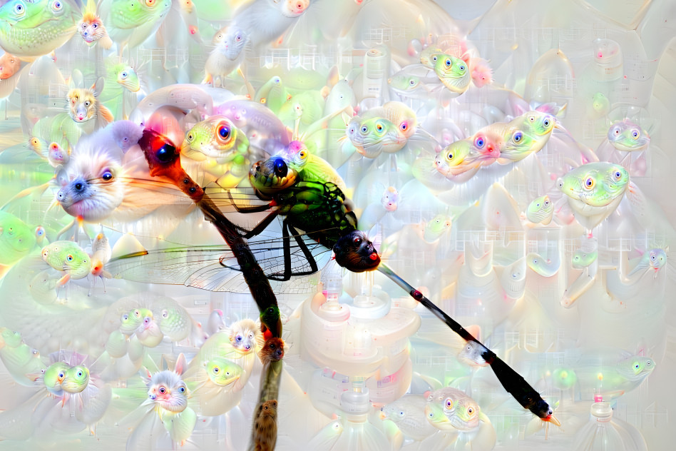 The rainbow mosquito