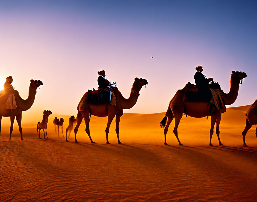 Silhouetted Camels and Riders Crossing Desert Dunes at Sunset