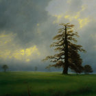 Towering tree against dramatic sky with sun rays over lush meadow