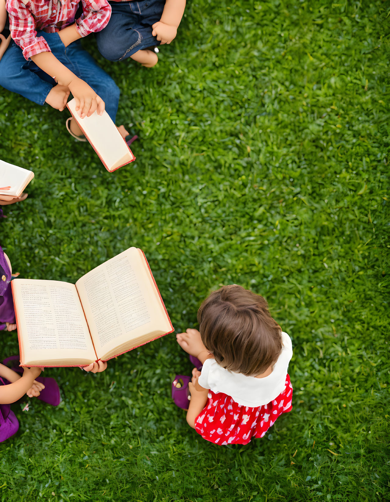 Kids Reading Books Sitting on Grass Viewed from Above