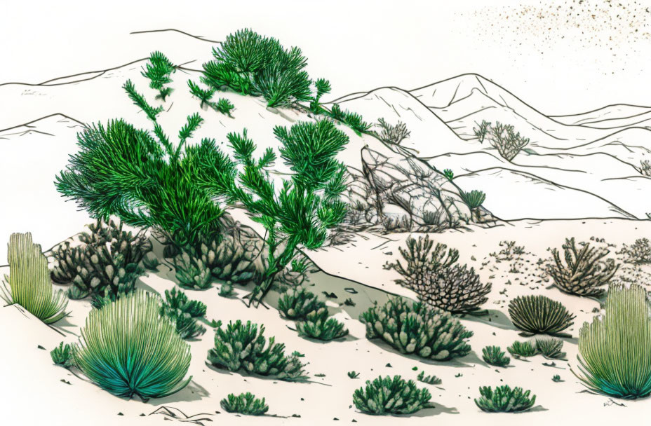 Desert landscape illustration with cacti, bushes, and mountains