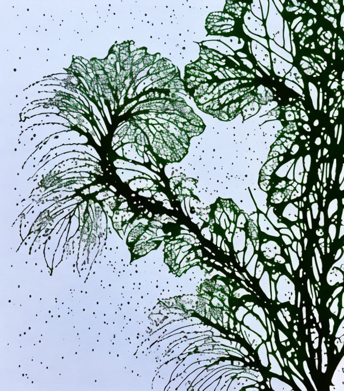 Detailed ink illustration of delicate leaf silhouettes on speckled background